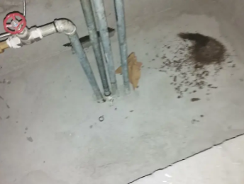 洞口卫生间测漏水价格明细