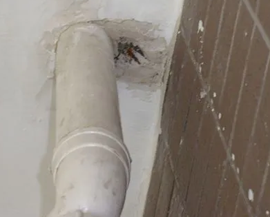 洞口漏水检测哪家好